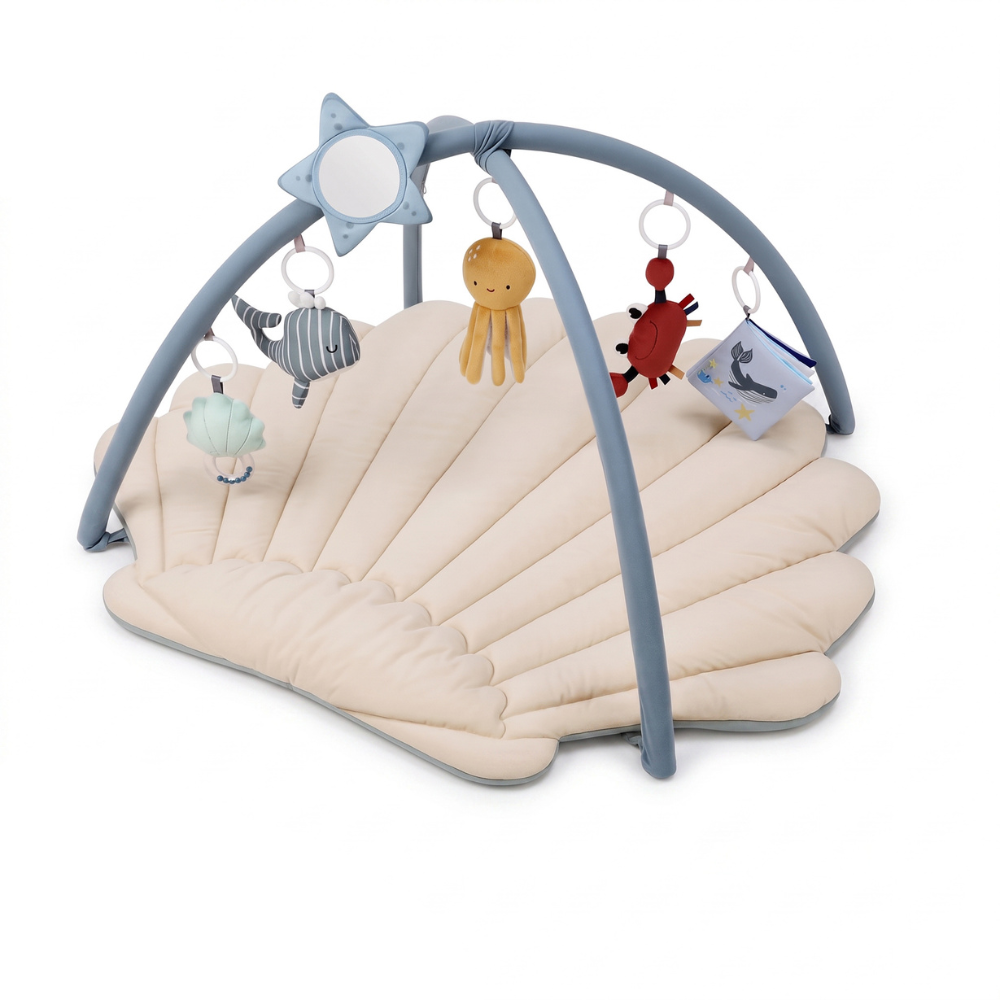 Little Manta Shell Baby Play Gym