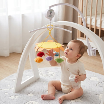 Little Manta Whirl Baby Pram Rattle full product view