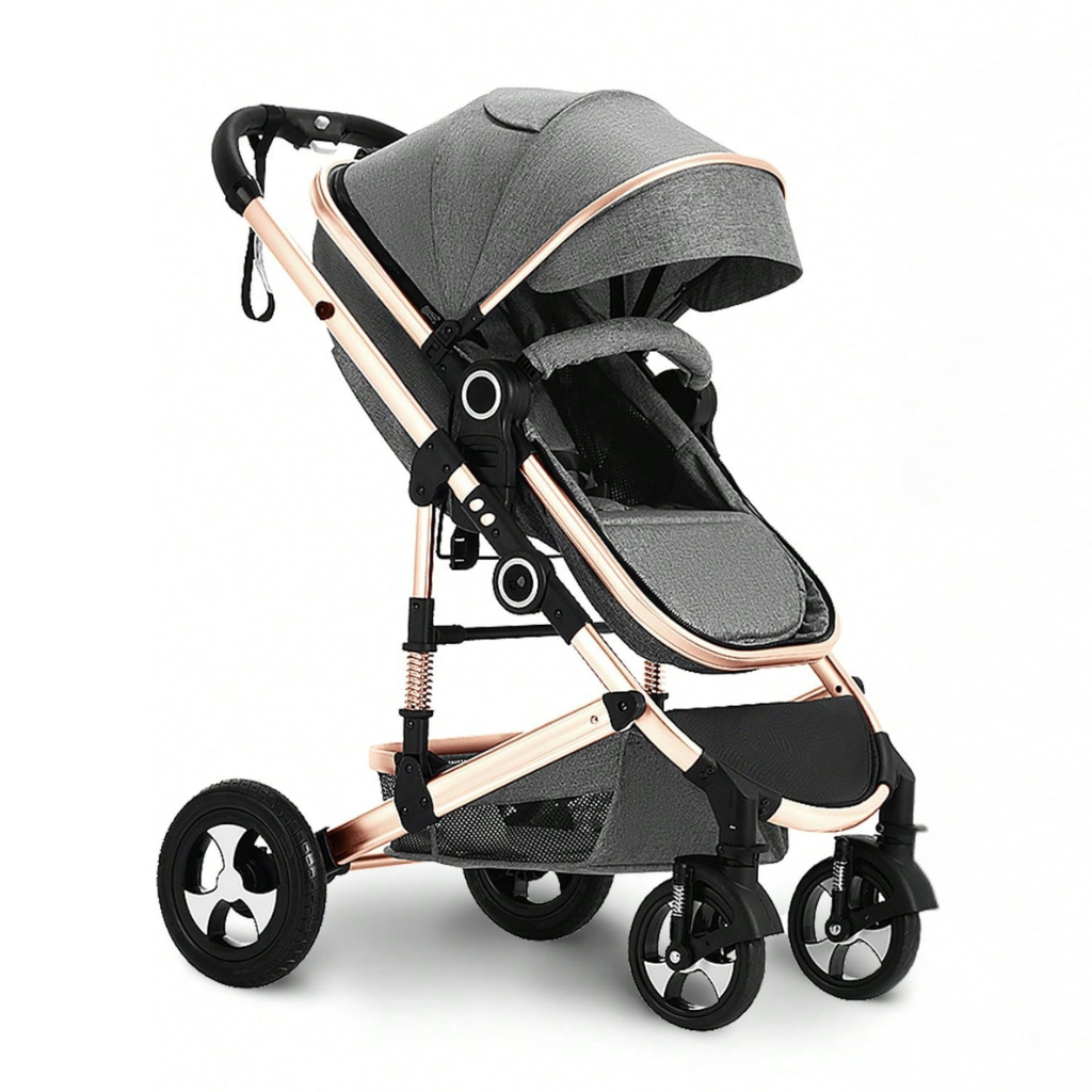 Little Manta 2-in-1 Baby Stroller