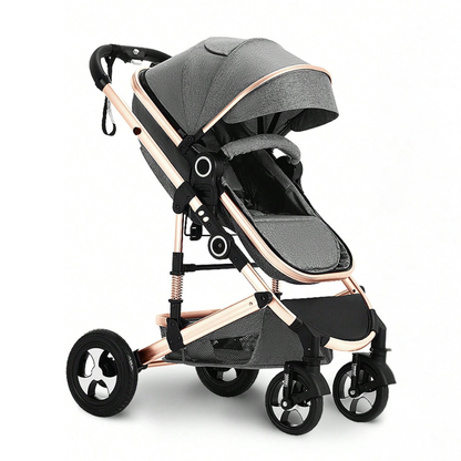 Little Manta 2-in-1 Baby Stroller