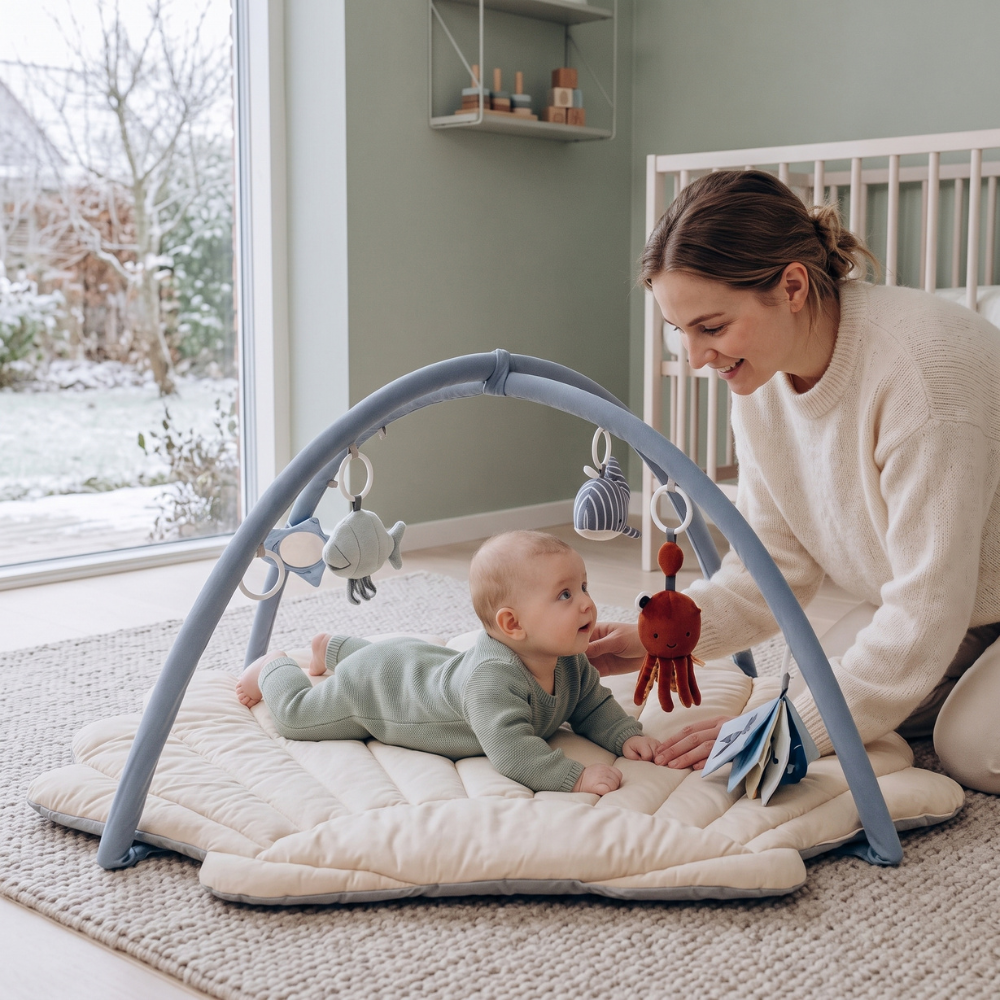 Little Manta Shell Baby Play Gym