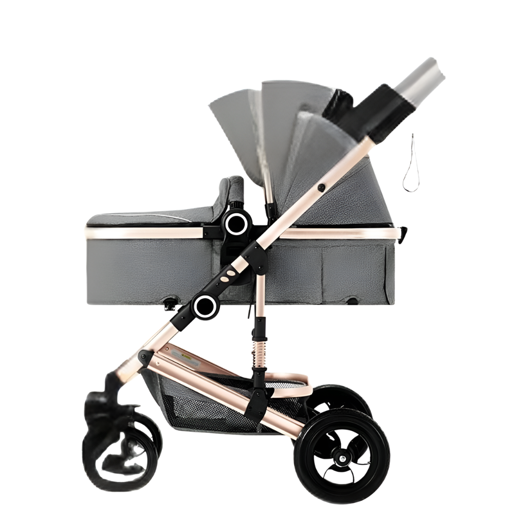 Little Manta 2-in-1 Baby Stroller