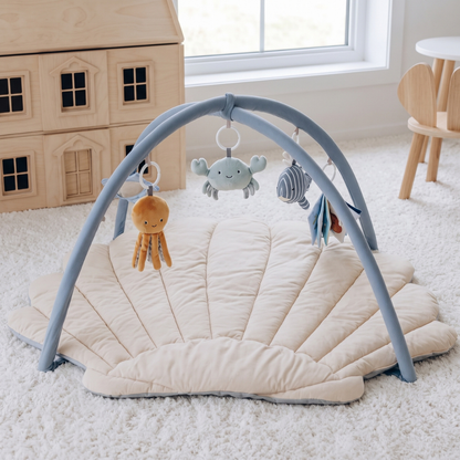 Little Manta Shell Baby Play Gym