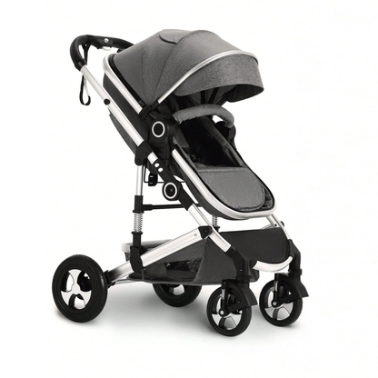 Little Manta 2-in-1 Baby Stroller