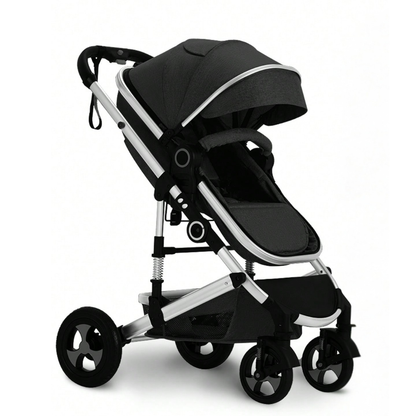 Little Manta 2-in-1 Baby Stroller