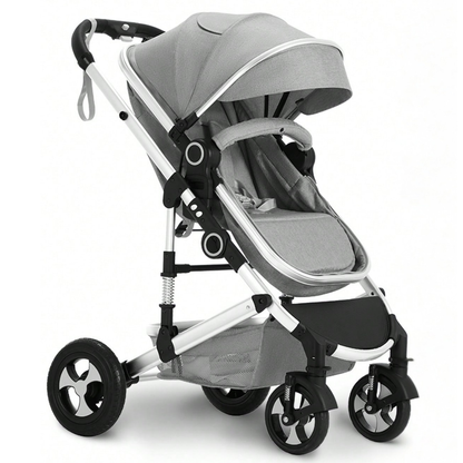 Little Manta 2-in-1 Baby Stroller